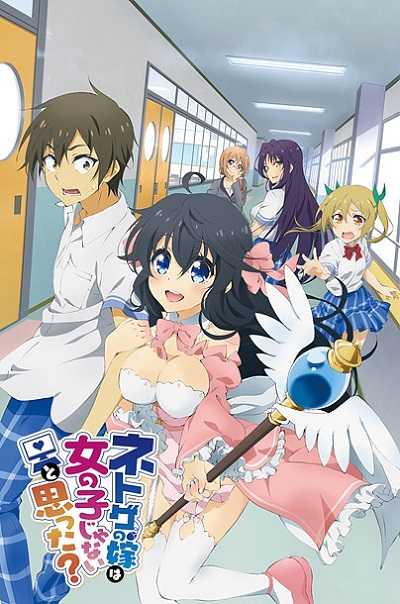 Netoge no Yome wa Onnanoko ja Nai to Omotta ตอนที่ 1-12 ซับไทย [จบ]